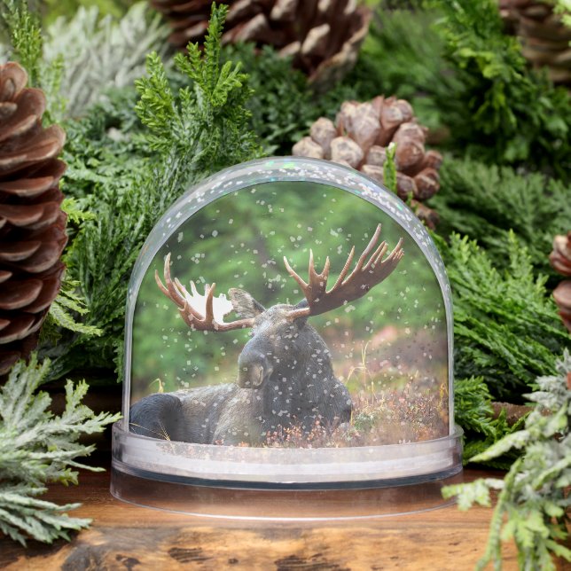 Moose Snow Globe (Winter)