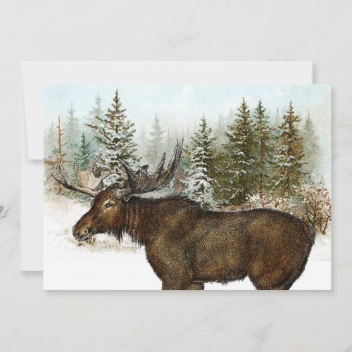 Moose Snowy Forest Nature Winter Holiday Vintage 