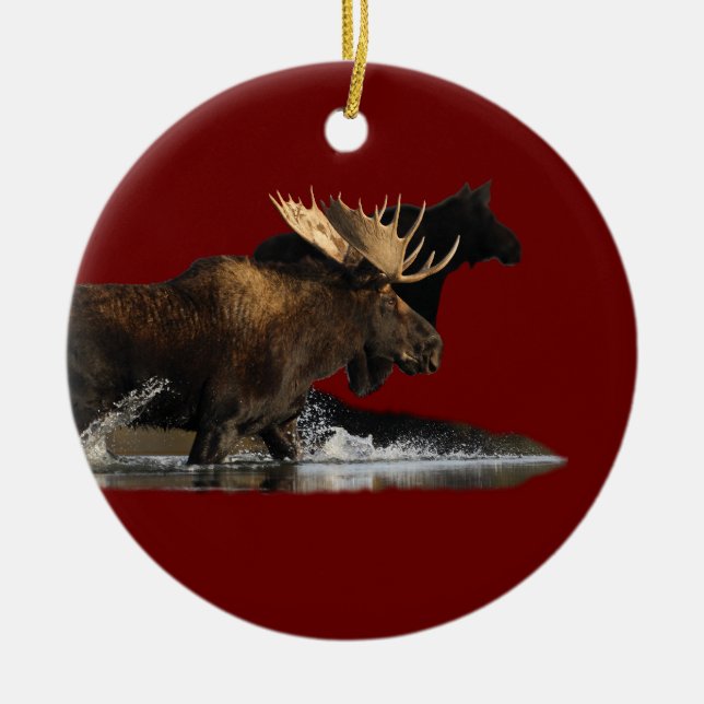 moose splash ceramic ornament (Front)
