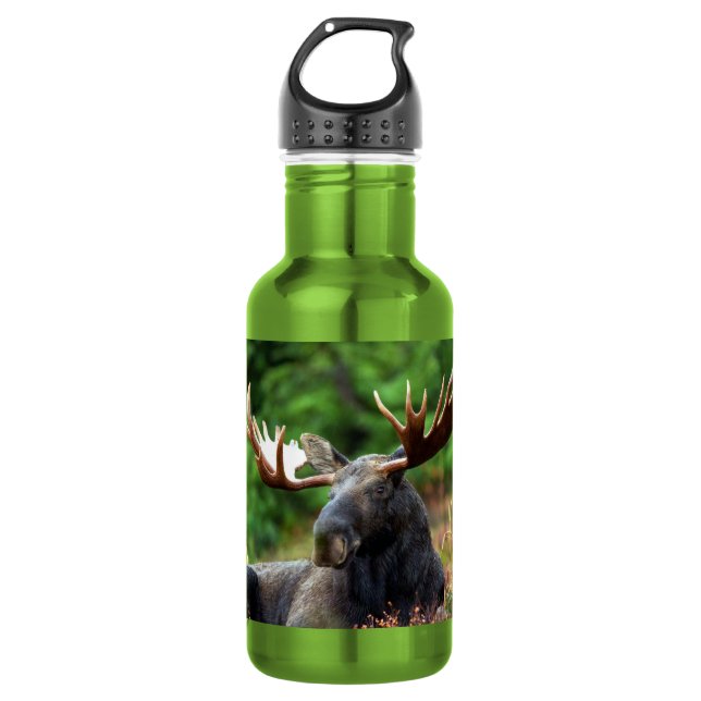 Moose Stainless Steel Water Bottle (Front)