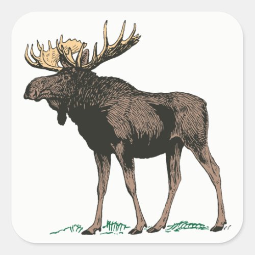 Moose Stickers