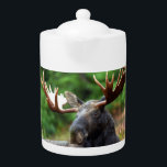 Moose Teapot<br><div class="desc">Moose Teapot. Magnificent photo of a majestic moose reclining in a field of wildflowers. Photo by Shivam Kumar.</div>