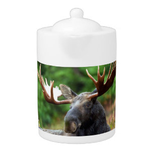 Moose Teapot