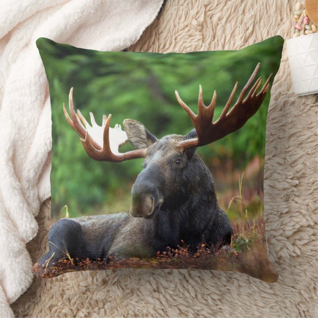 Moose  throw pillow (Blanket)
