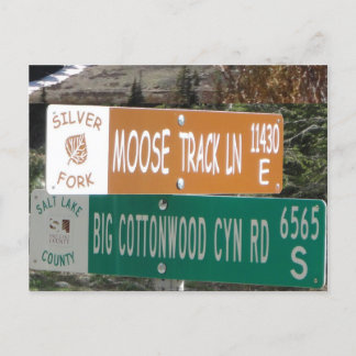Moose Track Lane Postcard