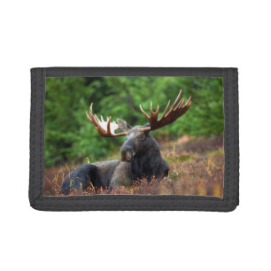 Moose Tri-fold Wallet