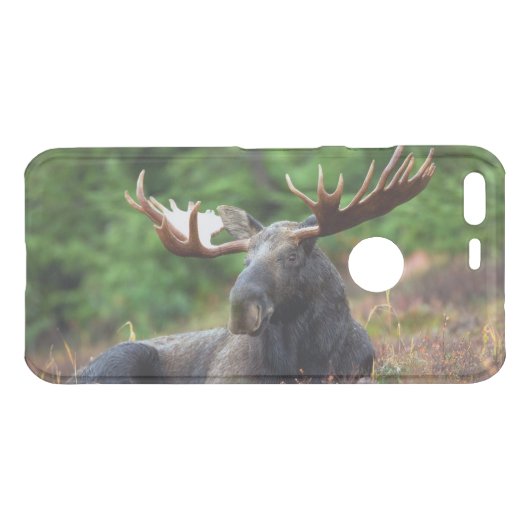 Moose Uncommon Google Pixel Case (Back (Horizontal))