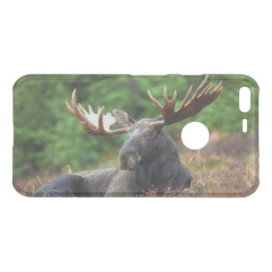 Moose Uncommon Google Pixel XL Case