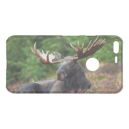 Moose Uncommon Google Pixel XL Case (Back (Horizontal))