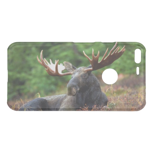 Moose Uncommon Google Pixel XL Case (Back (Horizontal))