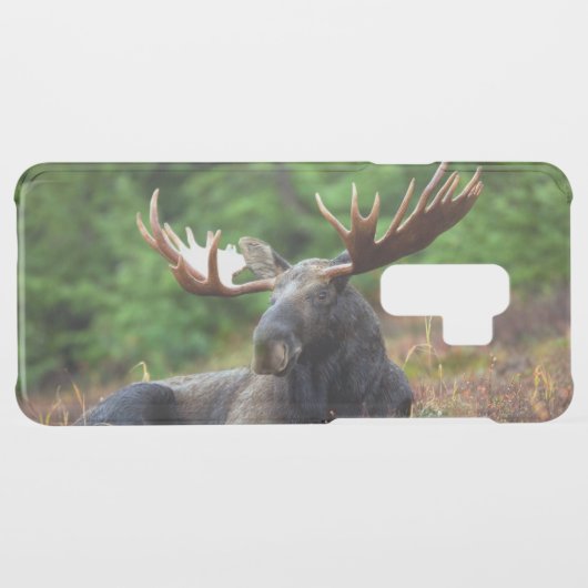 Moose Uncommon Samsung Galaxy Case (Back (Horizontal))