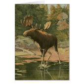 Moose Walking in Water (Front)
