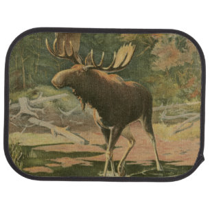 Moose Walking in Water Car Mat
