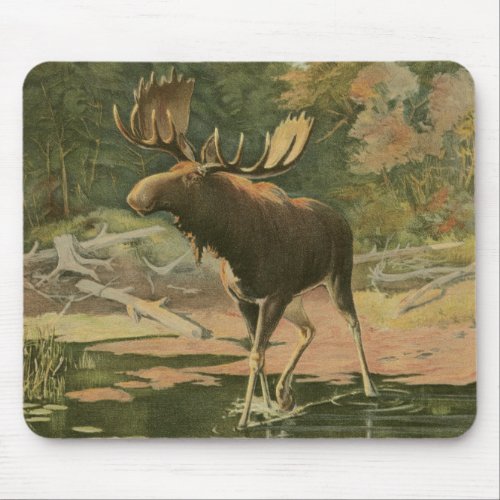 Moose Walking in Water Mouse Pad