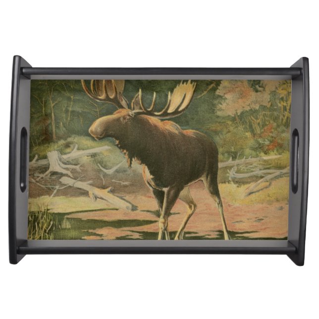 Moose Walking in Water Serving Tray (Front)