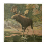 Moose Walking in Water Tile<br><div class="desc">Do you live far away from nature? This beautiful and yet classical image gives an impression of peacefulness and the colors of the moose walking in water are accurate which makes this image very realistic. Get this nature styled art on your favorite products!</div>