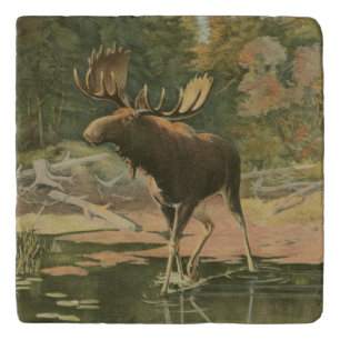 Moose Walking in Water Trivet