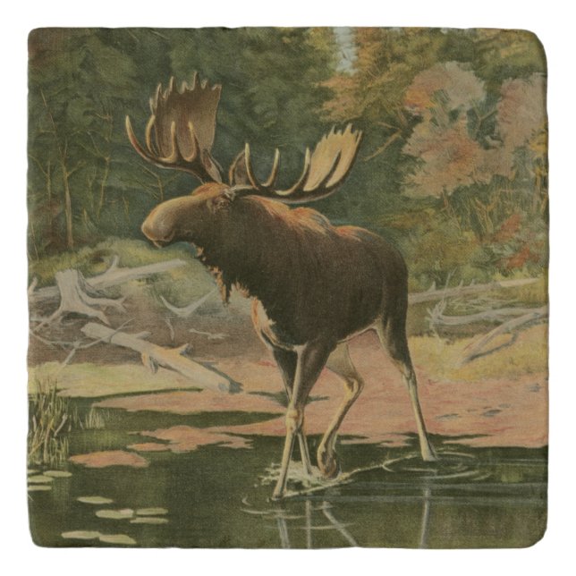 Moose Walking in Water Trivet (Front)