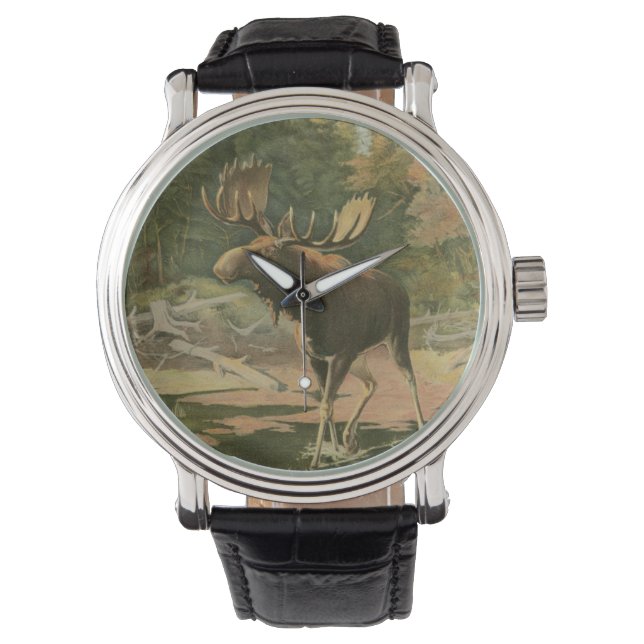 Moose Walking in Water Watch (Front)