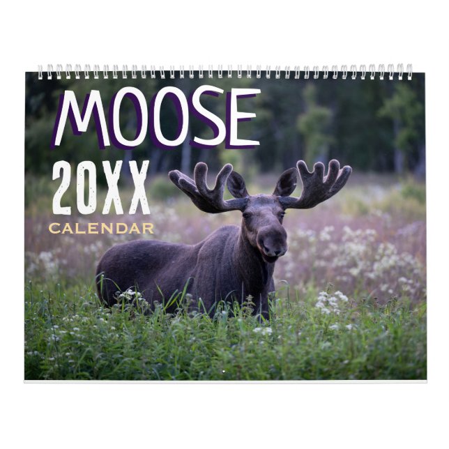 Moose Wall Calendar 2026 Wildlife Animals (Cover)