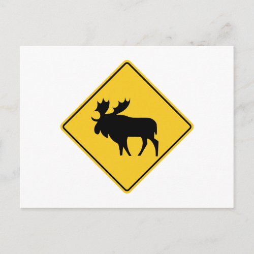 Moose Warning Road Sign Canada Postcard