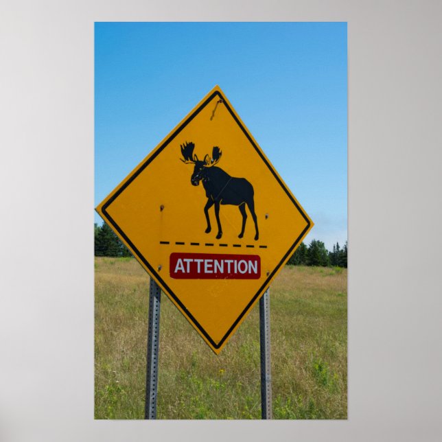 Moose Warning Sign (Front)