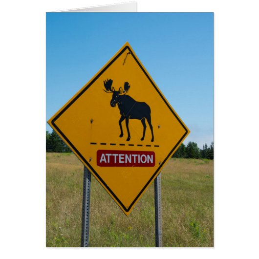 Moose Warning Sign Cards (Front)