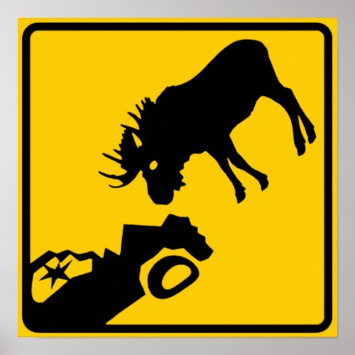 Moose Warning Sign from Gros Morne National Park