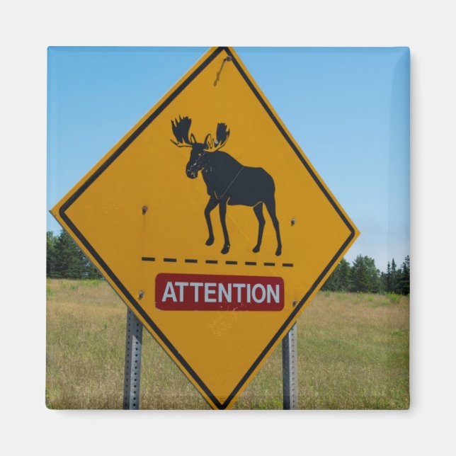 Moose Warning Sign Magnet (Front)