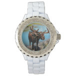 Moose Watch