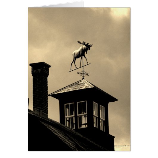 Moose Weather Vane New England Cards (Front)