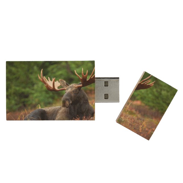 Moose Wood Flash Drive (Opened)