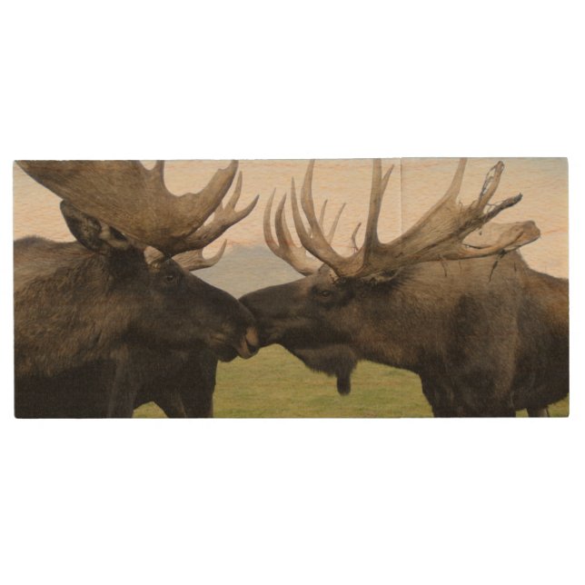Moose Wood Flash Drive (Front)