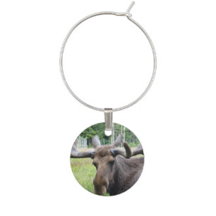 Moose WTF Wine Glass Charm