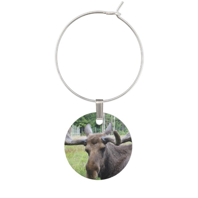 Moose WTF Wine Glass Charm (Front)