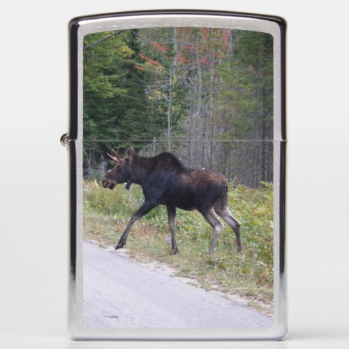 Moose Zippo Lighter