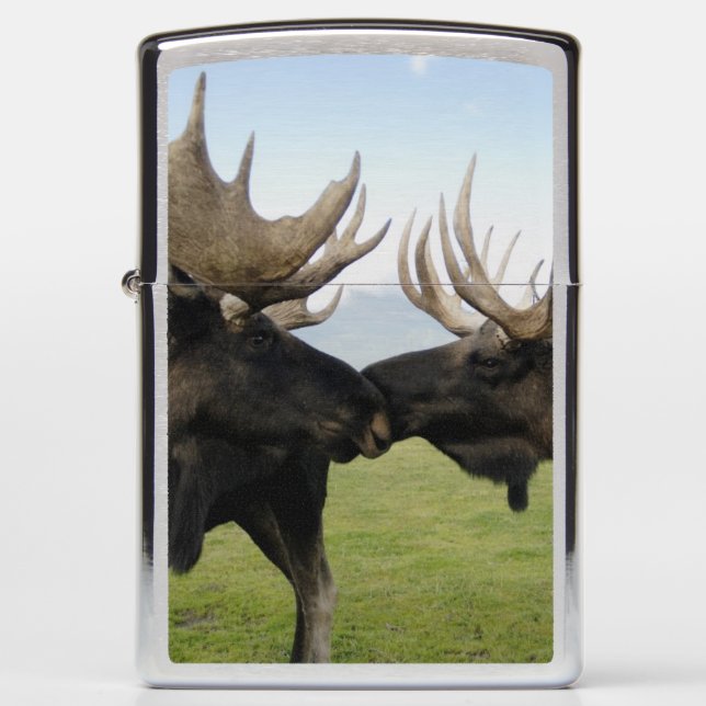 Moose Zippo Lighter (Front)