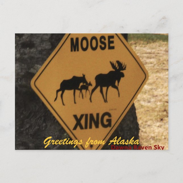 moosecrossing, Greetings from Alaska Postcard (Front)