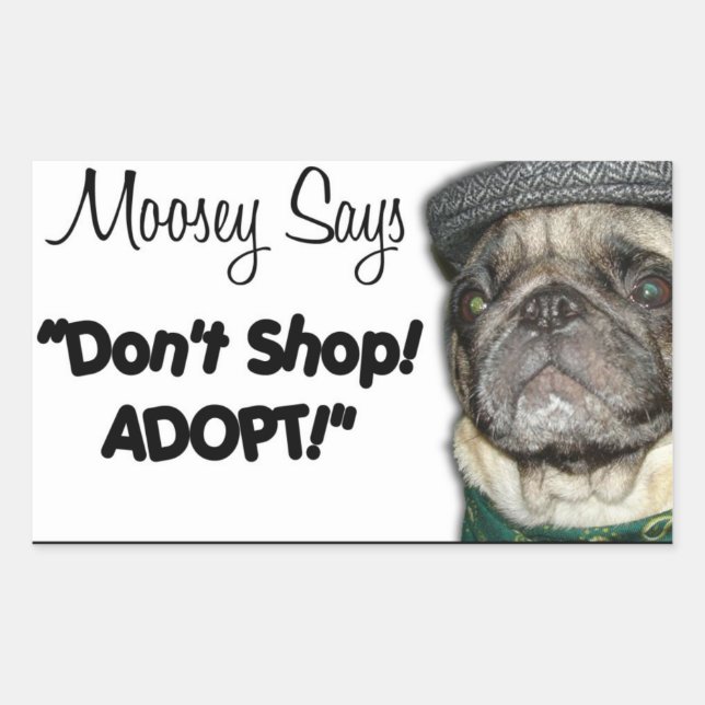 "Moosey Says" Stickers (Front)