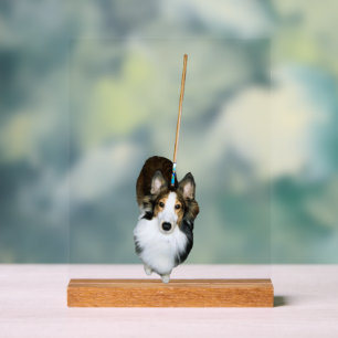 Mop Dog Acrylic Sign