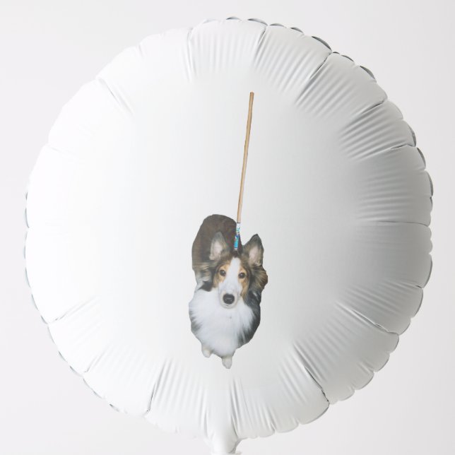 Mop Dog Balloon (Front)