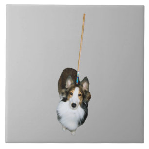 Mop Dog Ceramic Tile