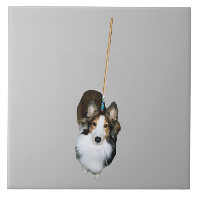 Mop Dog Ceramic Tile (Front)