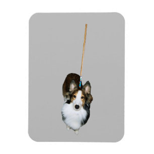 Mop Dog Magnet