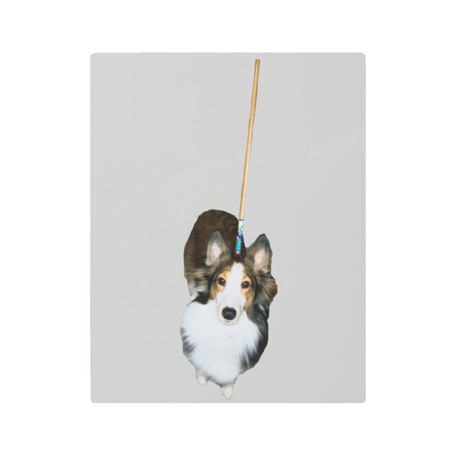 Mop Dog Metal Print (Front)