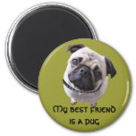 Mops Magnet at Zazzle