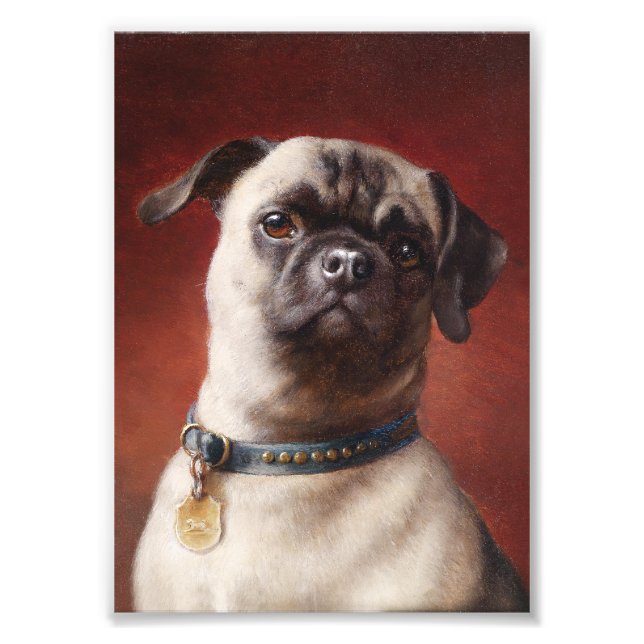 Mops Photo Print (Front)