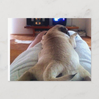 Mops relax postcard