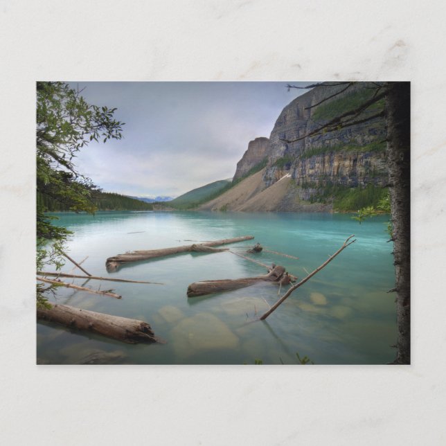 Moraine Lake Postcard (Front)