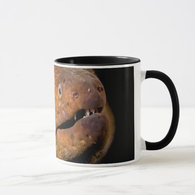 Moray Eel Mug (Right)